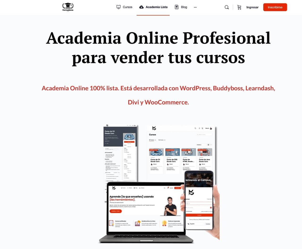 Infoproducto academia online montada para facturar